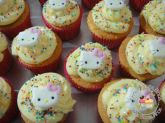 Cupcake Hello Kit